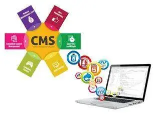 Самые популярные CMS-системы в Рунете 