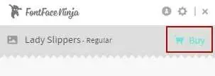 Покупка шрифта в FontFace Ninja