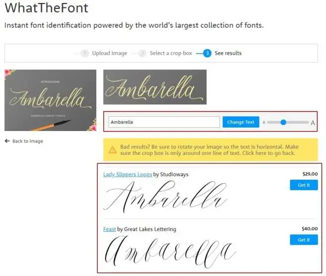 Результат работы в WhatTheFont